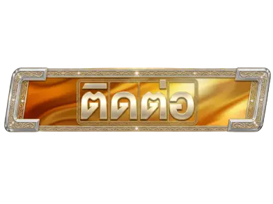 ติดต่อ